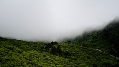 绿草覆盖的山在白色的天空白天
